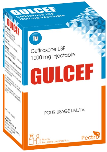 image-removebg-preview (5)