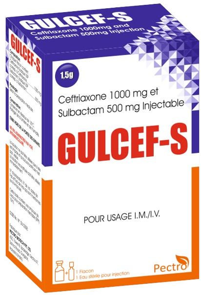 image-removebg-preview (6)